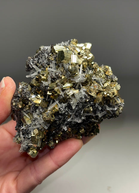 High Grade Pyrite with Quartz