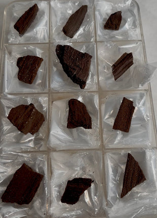 12 Pieces ! Permineralized Fossil Wood Fairy Wood Lot