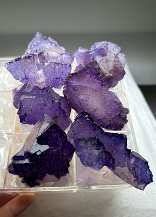 6 Pieces ! Purple Fluorite Lot from Muzquiz, Mexico