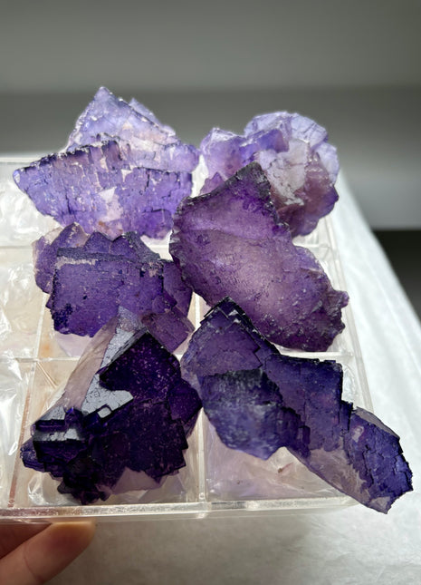 6 Pieces ! Purple Fluorite Lot from Muzquiz, Mexico