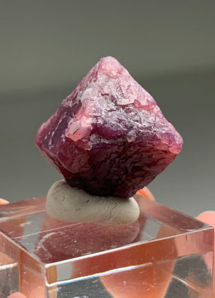 Pink Red Spinel - From Mahenge, Tanzania DWS