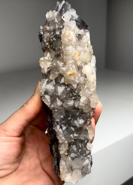 Rare ! Cumberland Habit Quartz on Blue Fluorite