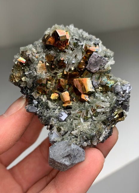 Incredible Rainbow Pyrite - Borieva mine, Rhodope Mtns