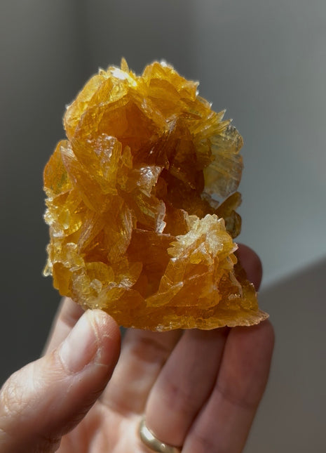Golden Honey Selenite from Peru 💎 PM0410