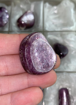 High Grade Flashy Lepidolite Lot - 12 Pieces !