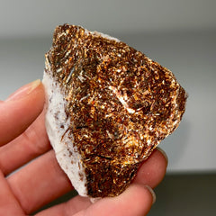 Collection image for: Astrophyllite