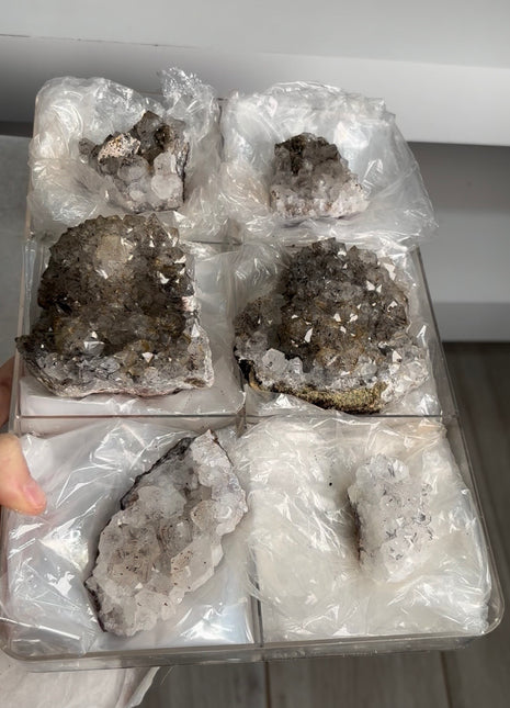 6 Pieces ! Quartz with Goethite, Cacoxenite Lot