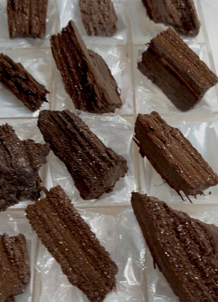 12 Pieces ! Permineralized Fossil Wood Fairy Wood Lot