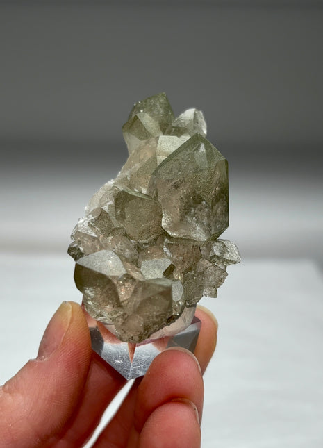 Green Chlorite Quartz - From Chamonix, French Alps