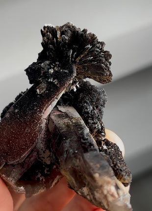 Stunning ! Goethite Flower with Smoky Quartz Collection # 842