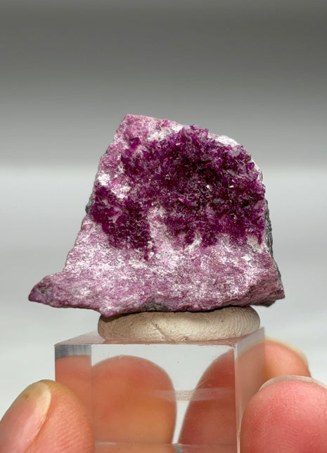 Purple Red Kammererite Specimen