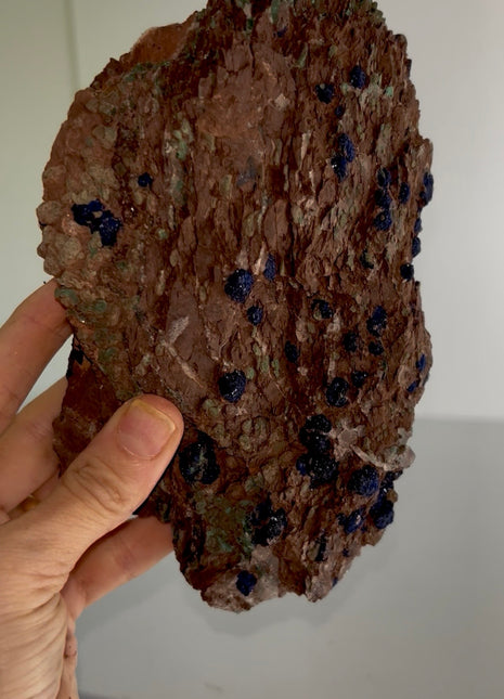 Sparkly Blueberry ! Azurite with Selenite Specimen