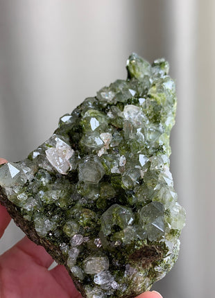 Forest Epidote with Quartz 🌲