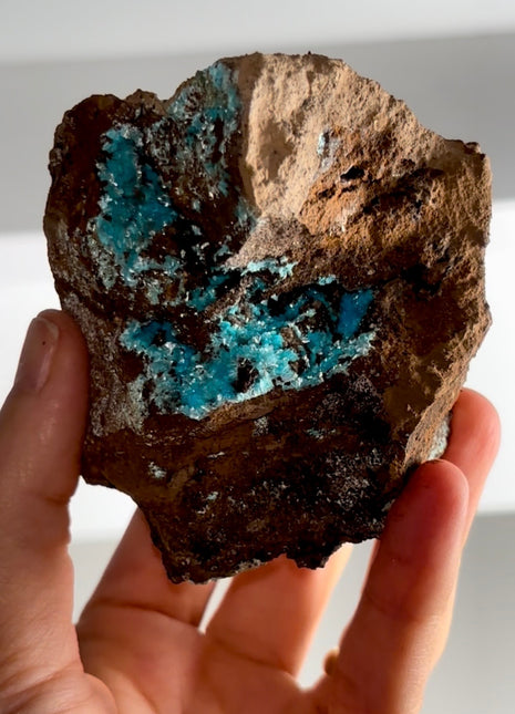 Blue Aurichalcite Geode Specimen PM1197