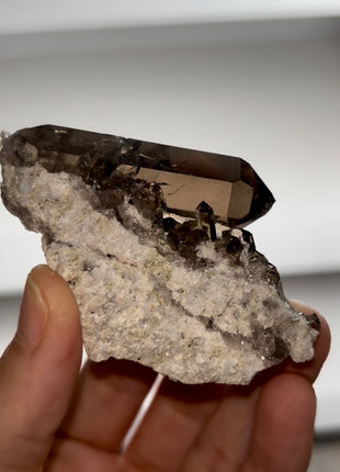 Smoky Quartz from Mont Blanc PM0988