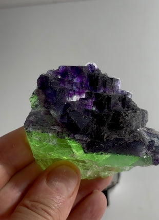 Green Fluorite with Purple Crystallization PM1158
