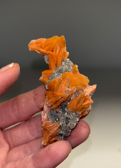 Orange Barite Flowers with Cerussite and Galena