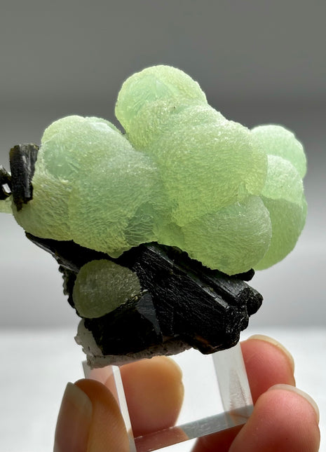 Green Prehnite with Epidote - From Mali