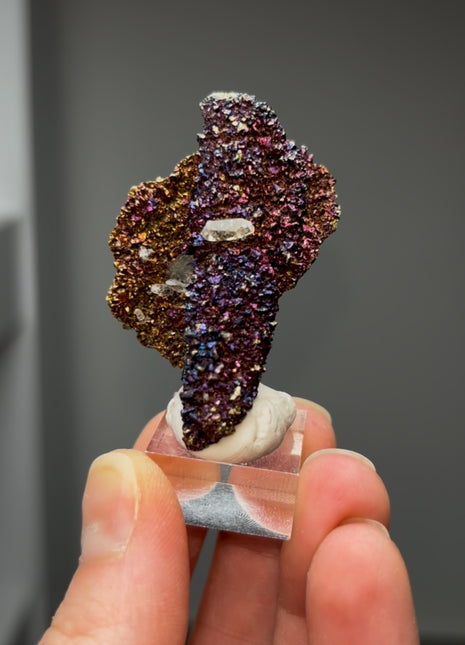 Incredible Chalcopyrite from Sweetwater mine