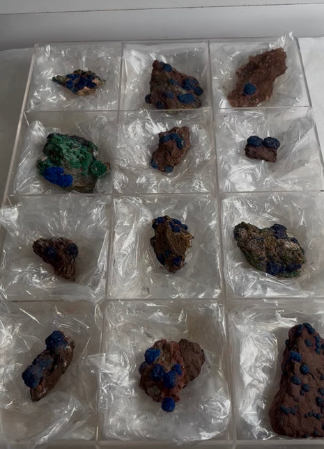 12 Piece Lot ! Rare Blueberry Azurite Specimens