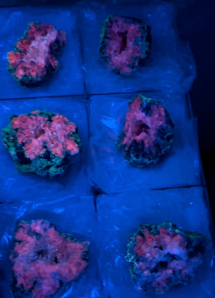 6 Pieces ! Watermelon Calcite Geode Lot