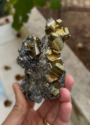 New ! Pyrite with Galena and Quartz