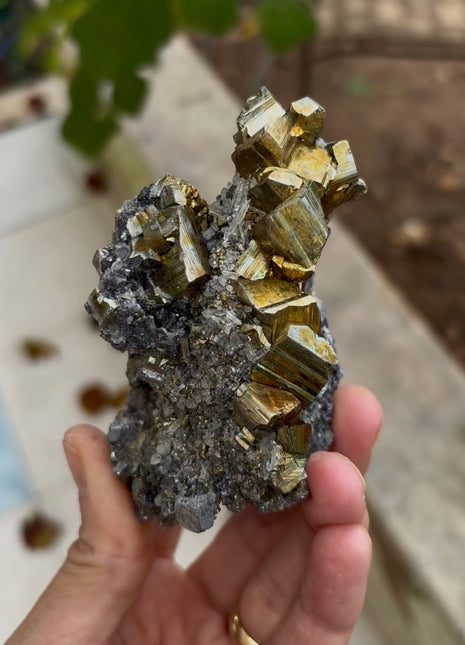 New ! Pyrite with Galena and Quartz