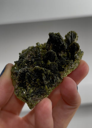 New ! Epidote Flowers with Axinite PM1567