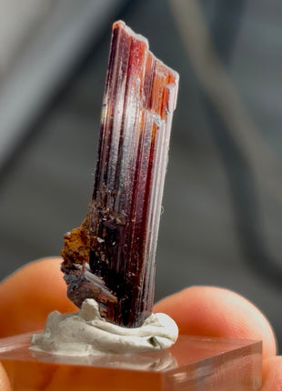 Red Rutile from Diamantina mine, 1990s find PM0847
