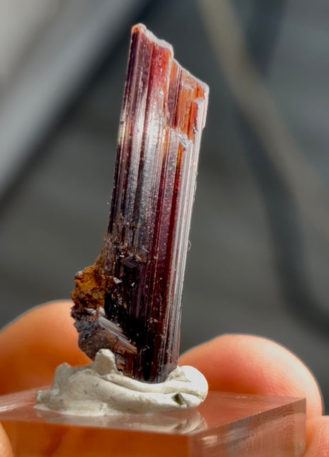Red Rutile from Diamantina mine, 1990s find PM0847