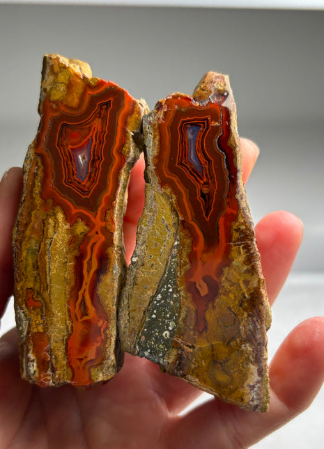 Wow ! Black Sea Agate Pair
