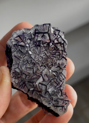 “Picture Frame” Fluorite PM0345
