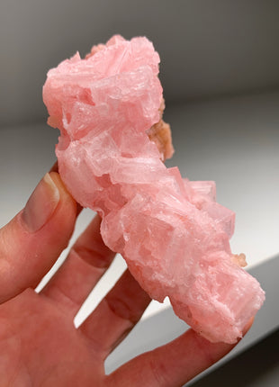 Pink Halite with Great Crystallization - from Searles Lake, California