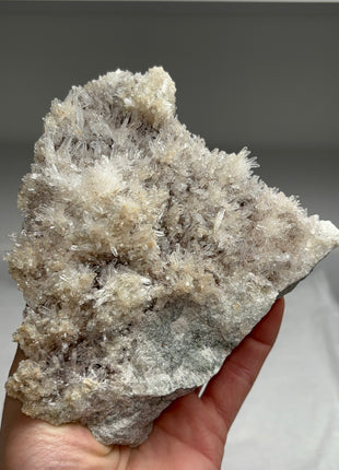Quartz Flowers from Bulgaria