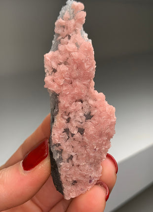 Gorgeous Pink Rhodocrosite on Quartz