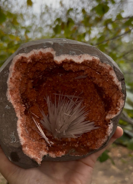 Scolecite with Heulandite Geode Collection # 643