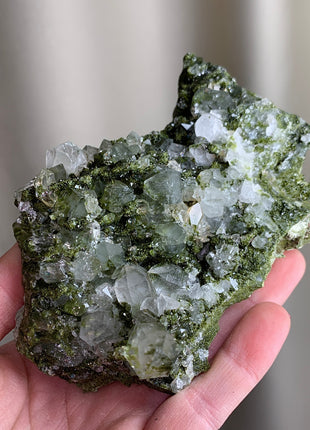 Forest Epidote with Quartz  🌲