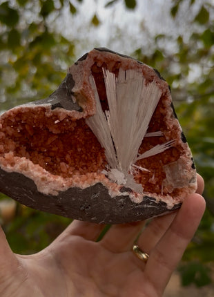 Scolecite with Heulandite Geode Collection # 642