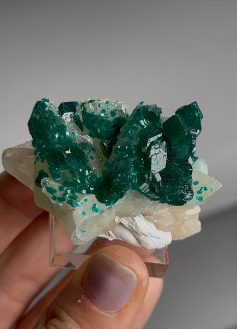 New find ! Green Dioptase with Calcite Collection # 728