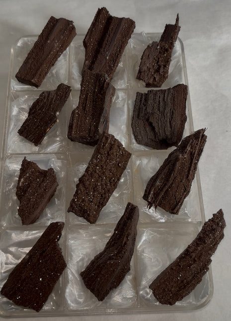 12 Pieces ! Permineralized Fossil Wood Fairy Wood Lot