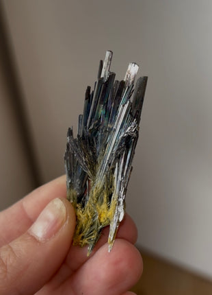 Rare Iridescent Stibnite from Romania Collection # 588