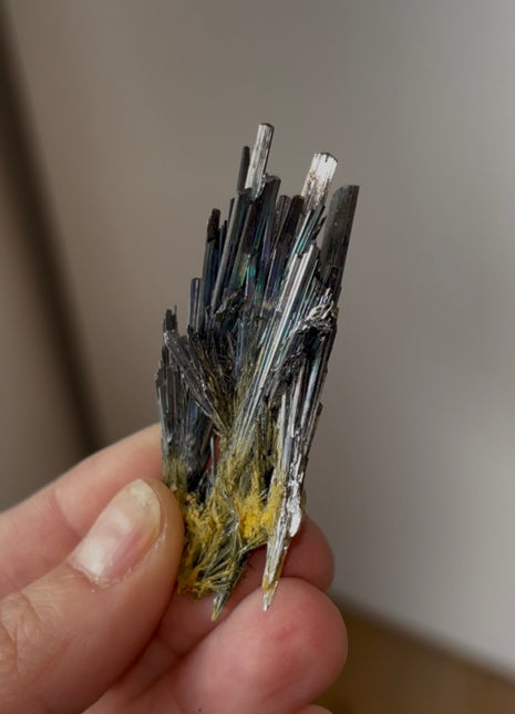 Rare Iridescent Stibnite from Romania Collection # 588