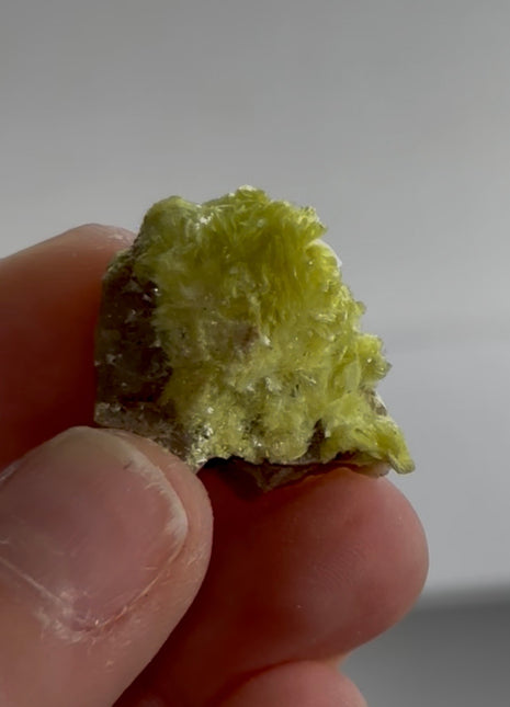 Rare ! Yellow Carlhintzeite Specimen