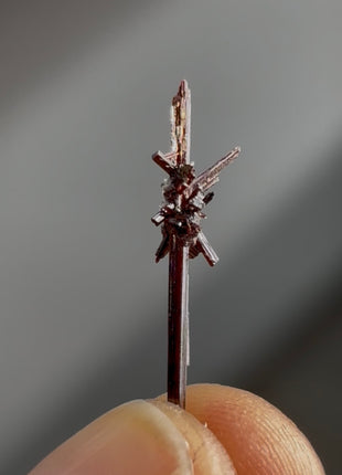 Red Rutile Starburst from Diamantina mine, 1990s find PM0859