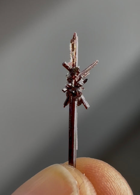 Red Rutile Starburst from Diamantina mine, 1990s find PM0859