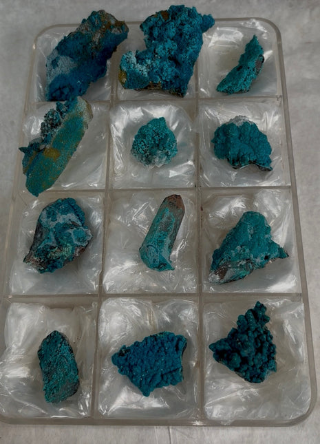 12 Pieces ! Blue Chrysocolla with Quartz Lot
