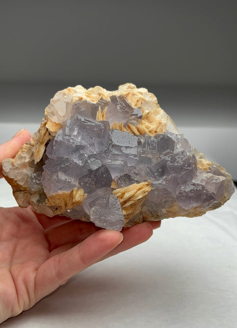 Blue Grey Fluorite with Barite from Berbes Collection # 567