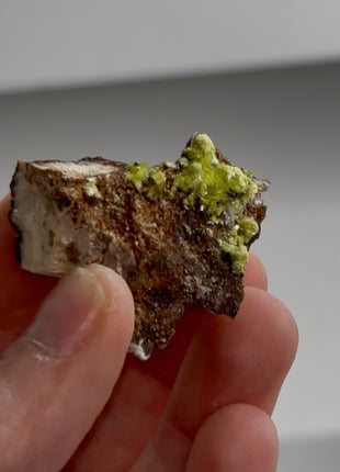 Rare ! Yellow Carlhintzeite Specimen