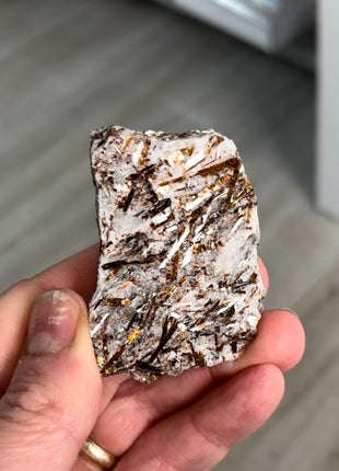 Astrophyllite Specimen from Khibniy Massif, Russia