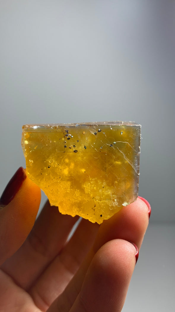 Gemmy Yellow Fluorite with Chalcopyrite from Valzergues, France